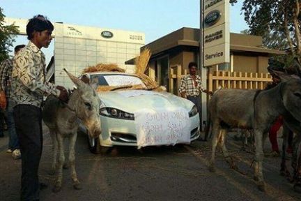 Jaguar’ını servise eşeklerle götürdü