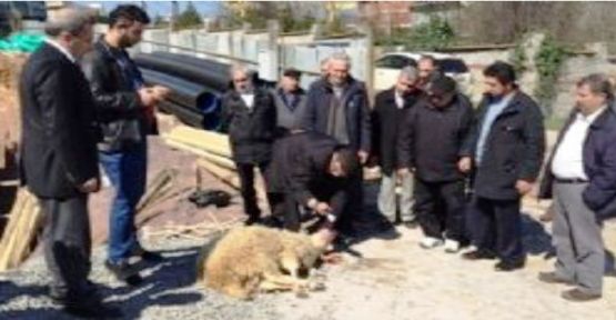 Kemaliye Aşağıumutlu Köyü Kültür Merkezi'nin temeli dualarla atıldı