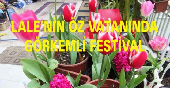 LALE’NİN ÖZ VATANINDA GÖRKEMLİ FESTİVAL