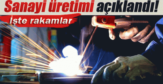Sanayi Üretim Endeksi, Mart 2015