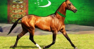 Akhal - Teke Atları, Tarihçesi ve Özellikleri
