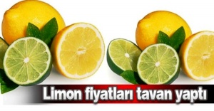 Limon fiyatı tavan yaptı