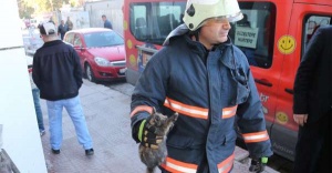Her Canlı Değerlidir