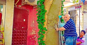 Yaşlı esnafın asırlık çınarı kurtarma mücadelesi