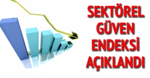 Sektörel Güven Endeksleri, Aralık 2015