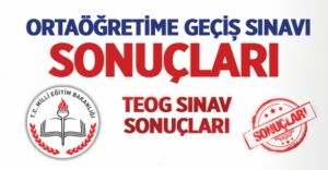 TEOG sınav sonuçları açıklandı, 2016