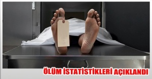 Ölüm Nedeni İstatistikleri, 2015