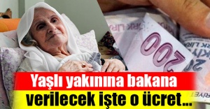 Yaşlı yakınına bakana 924 TL