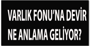 Varlık Fonu'na hisse devirleri ne anlama geliyor, Devredilen şirketler
