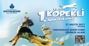 Köpeğini Al Gel, Spor Yap