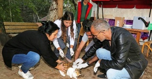 ATAŞEHİR'DE SOKAK HAYVANLARI AŞILANIYOR