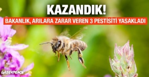 Arılara zarar veren 3 pestisit yasaklandı