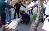 ADALAR'DA BİSİKLET KULLANIMINA YENİ DÜZENLEME GELDİ