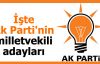AK Parti'nin milletvekili aday listesi