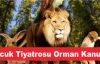 Çocuk Tiyatrosu Orman Kanunu, Ataşehir Andromeda AVM'de