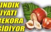 Fındık fiyatı yeniden yükselişe geçti