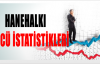 Hanehalkı İşgücü İstatistikleri, Şubat 2014