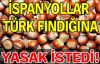 İspanyollardan Türk Fındığına Darbe