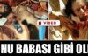 Kaddafi'nin Oğlu, Veliaht Kaddafi'nin son görüntüleri