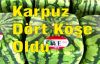 Karpuz Dört Köşe Oldu