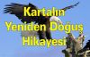 Kartalın Yeniden Doğuş Hikayesi