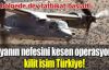 Ortadoğu'da ABD'den dev tatbikat