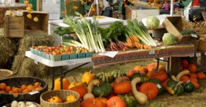 Türkiye 68 ülkeye organik ürün ihraç etti