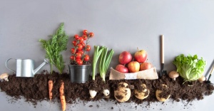 TÜRKİYE’DE ‘ORGANİK’ KELİMESİ SUİSTİMAL EDİLİYOR