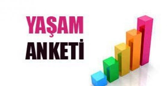 Yaşam Memnuniyeti Araştırması, 2014