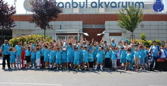 YAZ SPOR OKULU ÖĞRENCİLERİ İSTANBUL AKVARYUMU GEZDİ