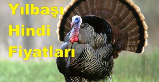 Yılbaşı hindi fiyatları