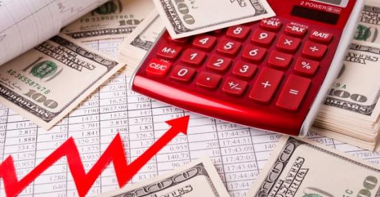 Yurt dışı üretici fiyat endeksi aylık %0,31 arttı