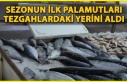 Sezonun İlk Balıkları Sinop Tezgâhlarında