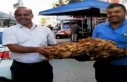 80 Kiloluk Dev Gürgen Mantarı Şaşkınlık Yarattı