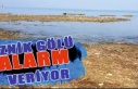 İznik Gölü adeta bir yardım çığlığı atıyor. 