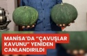 Manisa’da “Çavuşlar Kavunu” Ata Tohumla Yeniden...