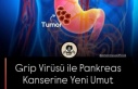 Pankreas Kanserine Yeni Umut
