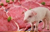Türkiye’de Domuz Eti Satışının En Yoğun Olduğu İller Açıklandı: Balıkesir 5. Sırada