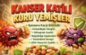 Kuru Yemişler: Sadece Atıştırmalık Değil, Güçlü Bir Savunma Kaynağı
