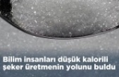 Yeni Araştırma: Doğal Şeker Tagatoz ile Daha Az Kalori, Aynı Tatlılık