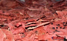 Karpuzdan Cips Yaptı, Avrupa’ya İhraç Ediyor