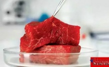 “Yapay Et” İddialarına Net Yanıt: Bakanlık Gündeminde Yok!