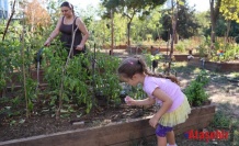 ATAŞEHİR BELEDİYESİ’NİN KENT BOSTANLARI İÇİN YENİ DÖNEM BAŞVURULARI BAŞLIYOR