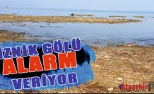 İznik Gölü adeta bir yardım çığlığı atıyor.