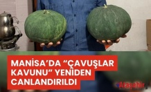 Manisa’da “Çavuşlar Kavunu” Ata Tohumla Yeniden Hayat Buldu
