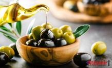 Türk zeytin ve zeytinyağı sektörü Kanada’yı radarına aldı