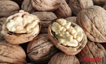 Bilecik Cevizi: Anadolu’nun Lezzetli Mirası