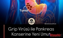 Pankreas Kanserine Yeni Umut