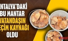 Doğal Mantar Vatandaşın Geçim Kaynağı Oldu