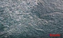 Sapanca Gölü’ndeki Kabarcıklara Bilimden Net Açıklama 